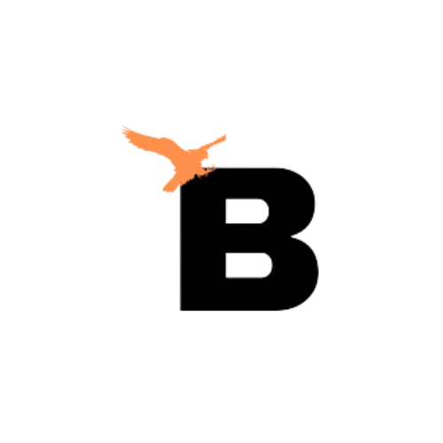 Baaj Consulting